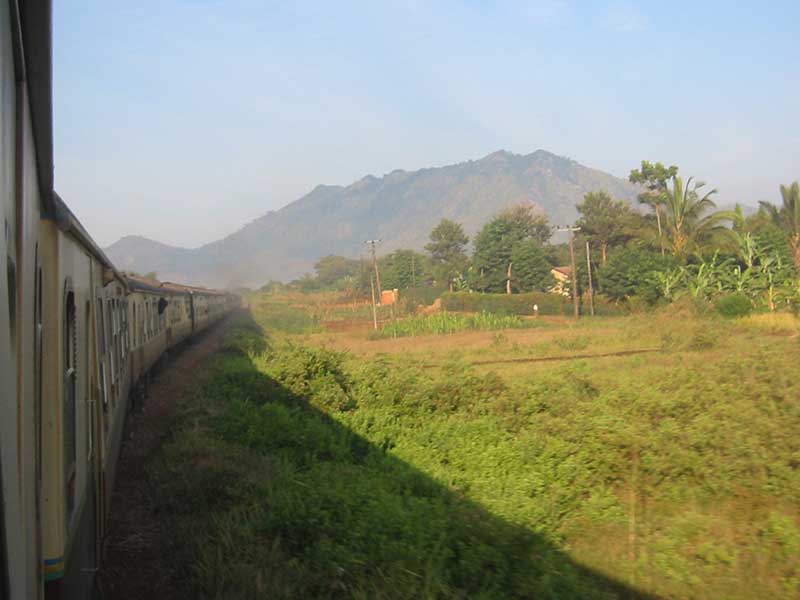 journey to Tazmania